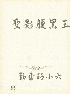 圣影腹黑王子帮