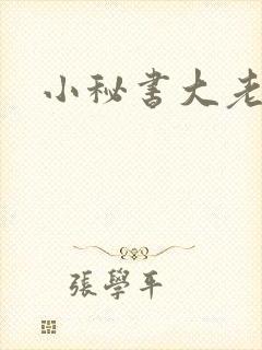 小秘书大老婆