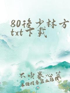 80后少林方丈txt下载