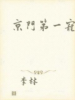 京门第一宠