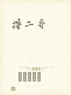 撸二哥