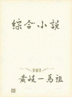 综合小说
