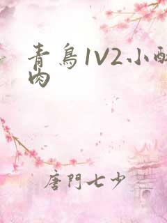 青鸟1V2小酥肉