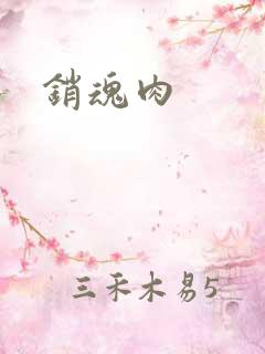 销魂肉