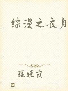 综漫之夜月