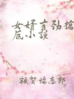 女婿有劲枪枪到底小说