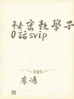 秘密教学子豪60话svip
