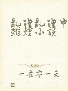 乱理乱理中文大杂烩小说