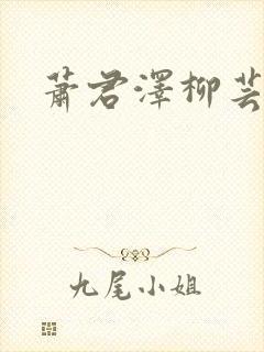 萧君泽柳芸小说