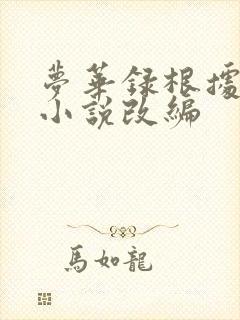 梦华录根据什么小说改编