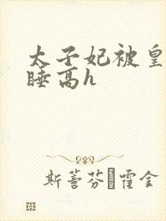 太子妃被皇上强睡高h