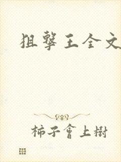 狙击王全文阅读