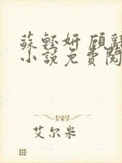 苏轻妍 顾辞笙小说免费阅读