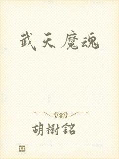 武天魔魂
