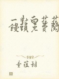 一对白花花的大馒头免费阅读