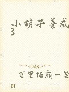 小胡子养成计划3