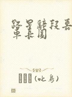 路星辞段嘉衍肉车长图
