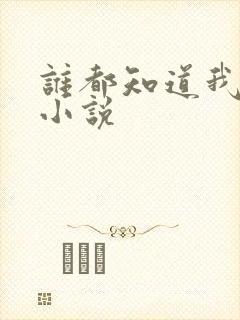 谁都知道我爱你小说