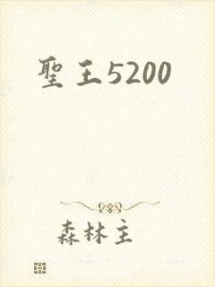 圣王5200