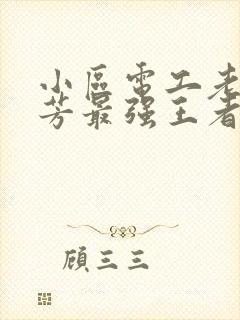 小区电工老周刘芳最强王者