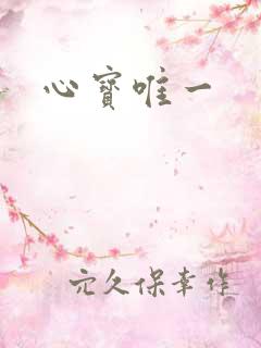 心宝唯一