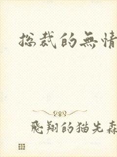 总裁的无情游戏