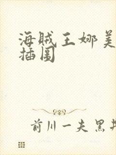 海贼王娜美被轮插图