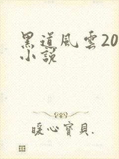 黑道风云20年小说