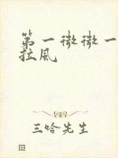 第一微微一笑很拉风