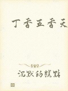 丁香五香天麻豆