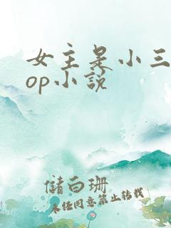 女主是小三的pop小说