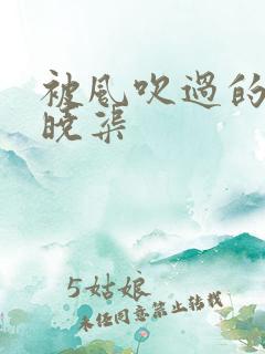 被风吹过的夏天晓渠