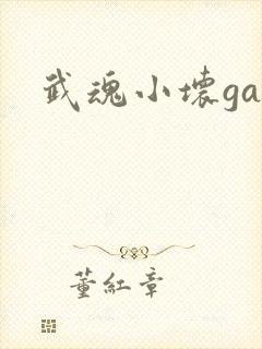 武魂小坏ga