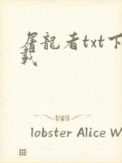屠龙者txt下载