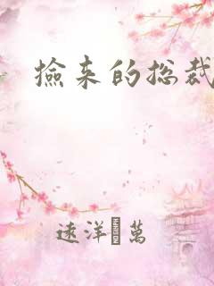 捡来的总裁儿子