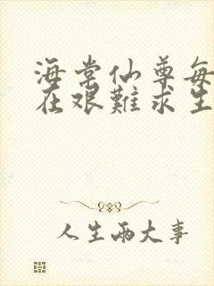 海棠仙尊每天都在艰难求生