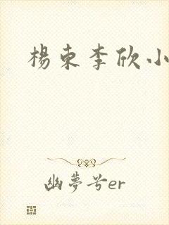 杨东李欣小说