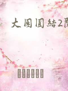 大团圆结2阅读