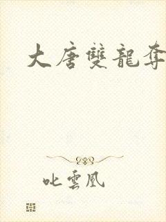 大唐双龙夺艳记