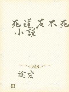 死道友不死贫道 小说