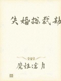 失婚总裁劫前妻