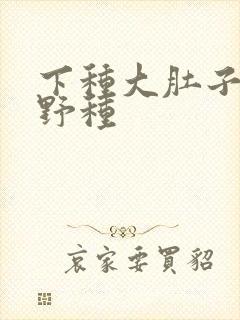 下种大肚子怀孕野种