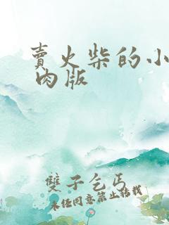 卖火柴的小男孩 肉版