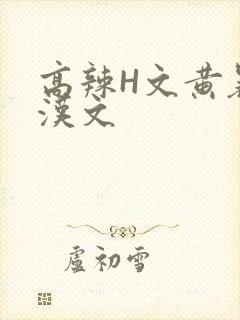 高辣H文黄暴糙汉文