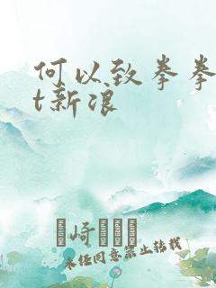 何以致拳拳txt新浪