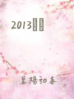 2013С˵