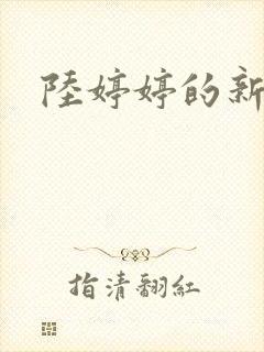 陆婷婷的新故事