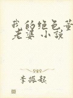 我的绝色董事长老婆 小说