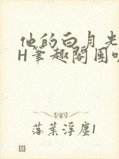 他的白月光HvH笔趣阁团叽叽