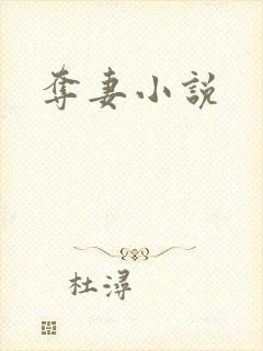 夺妻小说